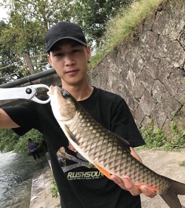 铁甲|罕见!男子桥下钓起“铁甲草鱼”,网友:好多年没见过