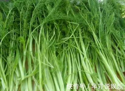 香丝菜|女人常吃此物，子宫越来越干净，不想满脸皱纹可以试试
