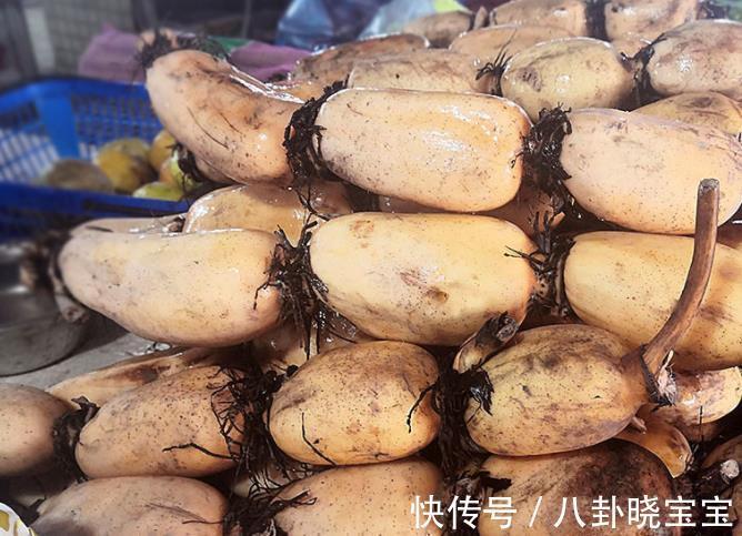 植物蛋白|立秋后“对付”秋老虎，多吃这4种蔬菜，物美价廉又去燥，营养高