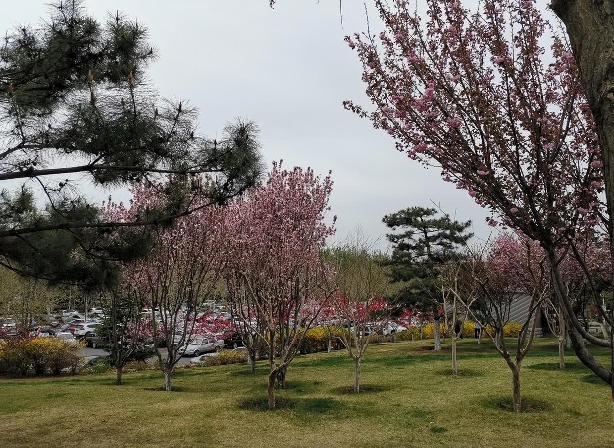 指责|曾国藩:面对别人的指责和议论,要做到有则改之,无则加勉