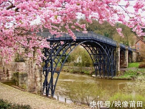 网红|「李子柒说时代给了我一阵风」，成就自媒体网红需要哪些助力？