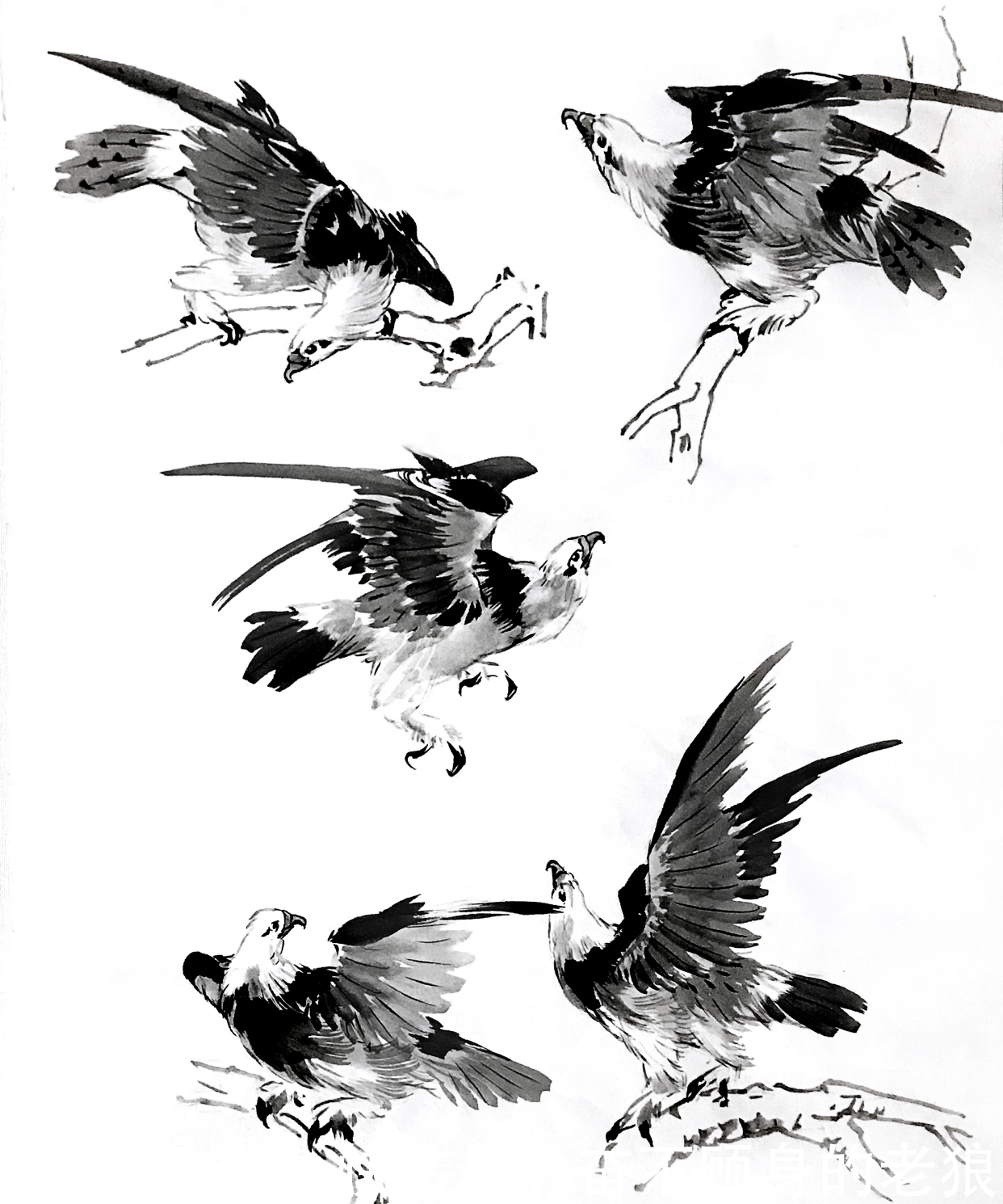 国家博物馆之疏影暗香:纪念张书旂诞辰120周年艺术展(下篇)