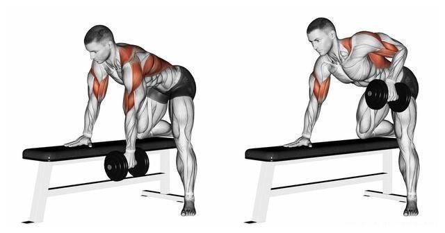 绳索|献给健身小白的六个经典背部训练动作，赶紧收藏，以后慢慢学