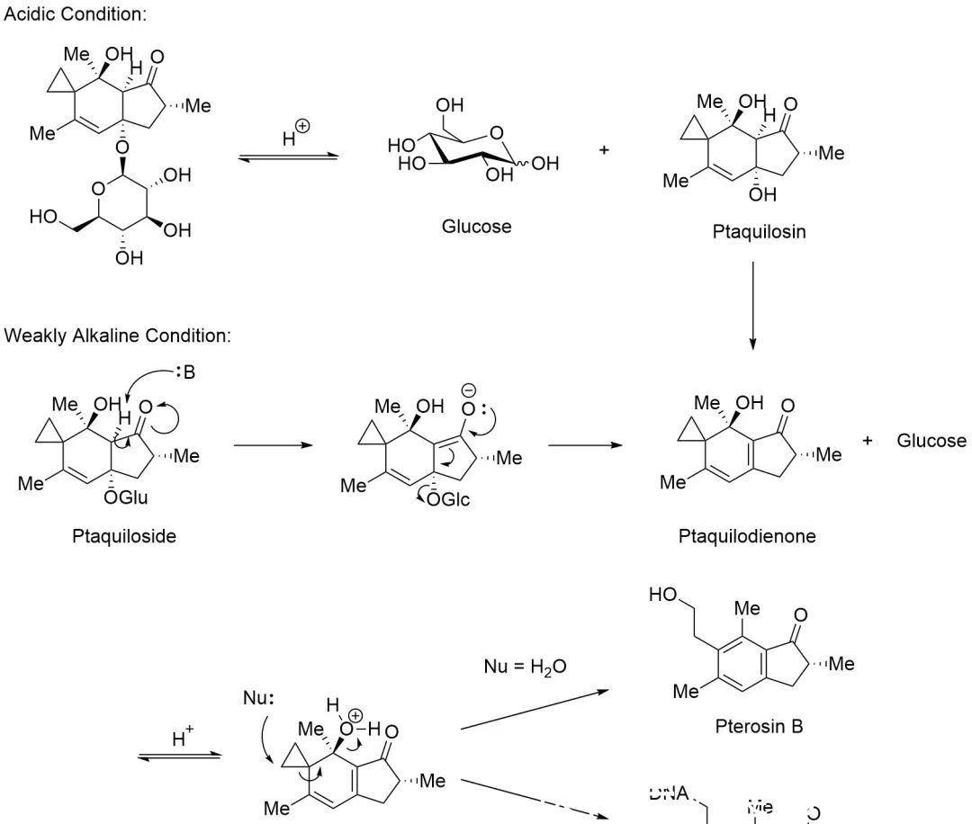 植物|全身带毒还致癌,为啥还要吃这玩意儿?
