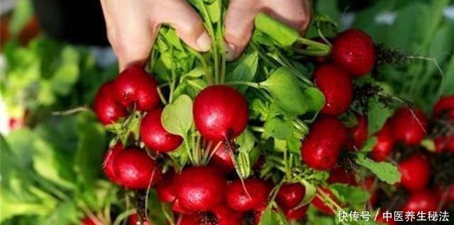 阳台种盆“小萝卜”,一口吃一个,一周种一盆,一吃300天!