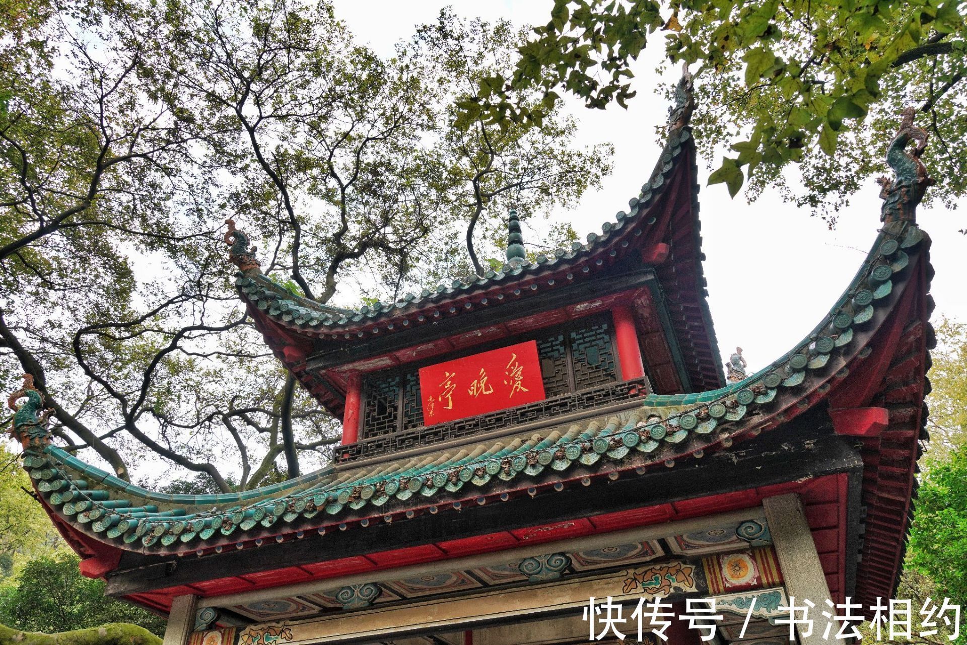 秃宝盖!伟人题写的“爱晚亭”是书坛之绝唱,字迹稳重大气,神采飞扬