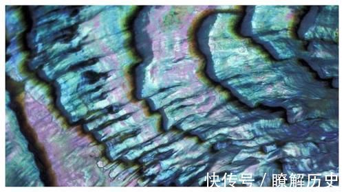 宁心|一味不被人熟知的中药,常被人抛弃,这药有助清肝明目,宁心安神