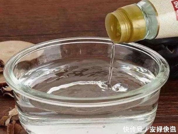 根部|生根剂不用买,家中都有的材料泡一泡,多蔫的花都根状叶绿爆满盆!