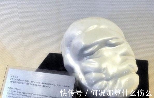 珍珠|营救被大蚌夹住的小孩,却发现世界之最的“老子之珠”