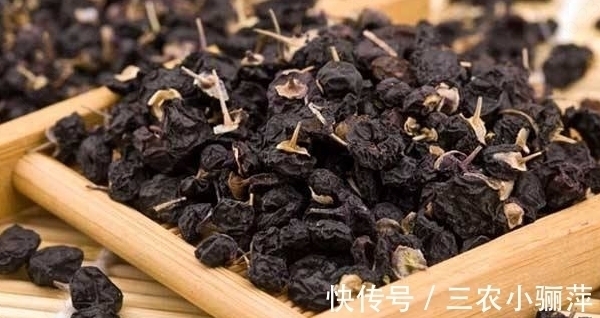 软黄金|农村种植一种野果,被称为软黄金,现在市场上一斤2000块钱