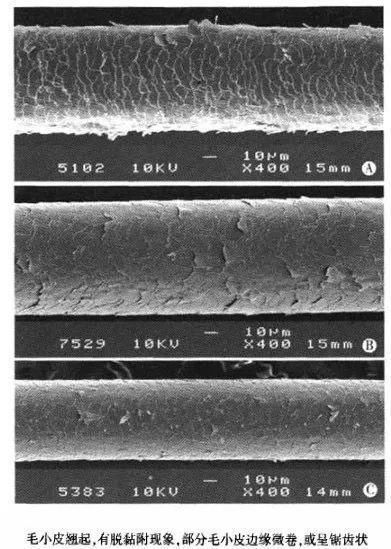 发根处|在给肌肤化妆的同时,你给自己的头发化妆了吗?