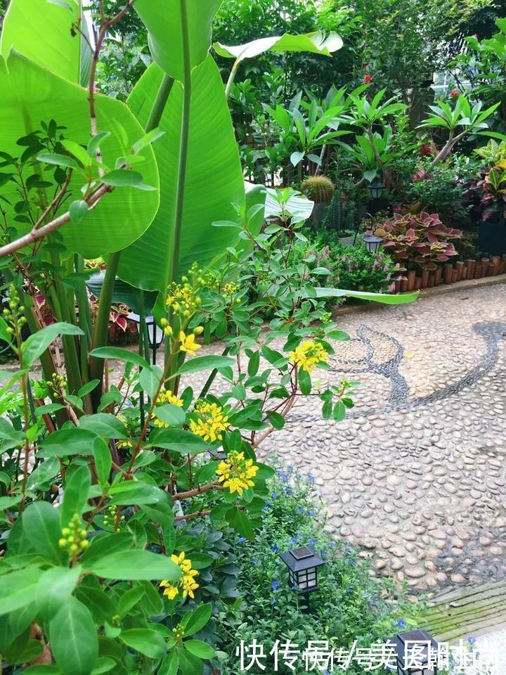 城市|在城市近郊买个40㎡的院子，闲暇时种种花草做做美食，惬意啊！