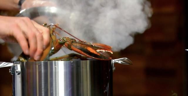 米其林|米其林大厨戈登拉姆齐,完美无痛拆龙虾肉,只需7步骤轻松上手