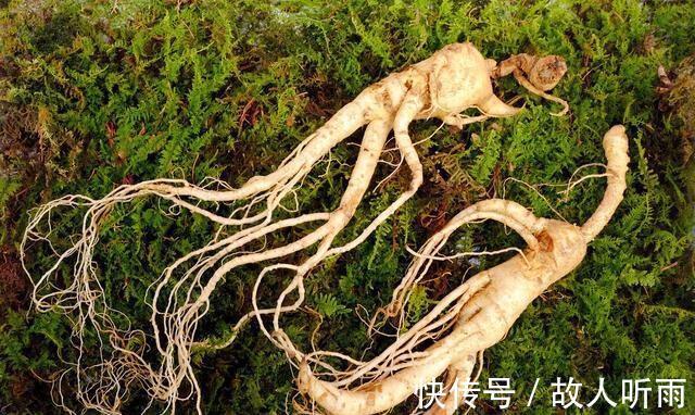 暴病!故事:父母暴病而亡,他坠入土沟,忽见一个道士,道士:苍天有眼