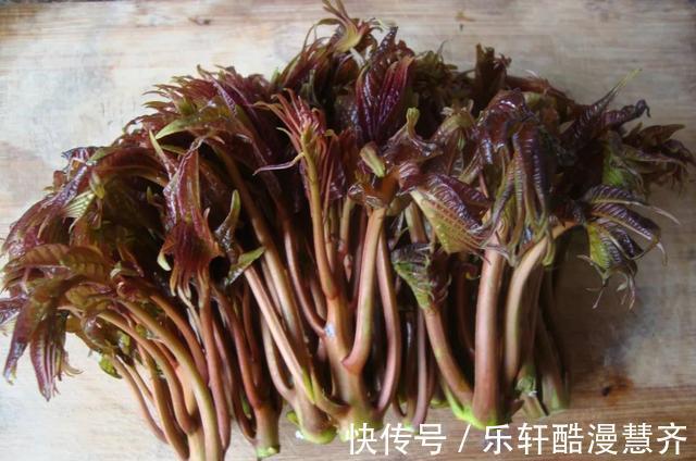 碎米|学会这两种自制饵料,专门钓秋天的大草鱼,效果谁用谁知道