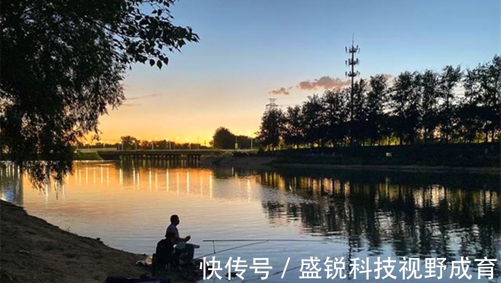 钓浮|盛夏夜钓草鱼,钓近还是钓远?钓浮还是钓底?有几个建议可以参考
