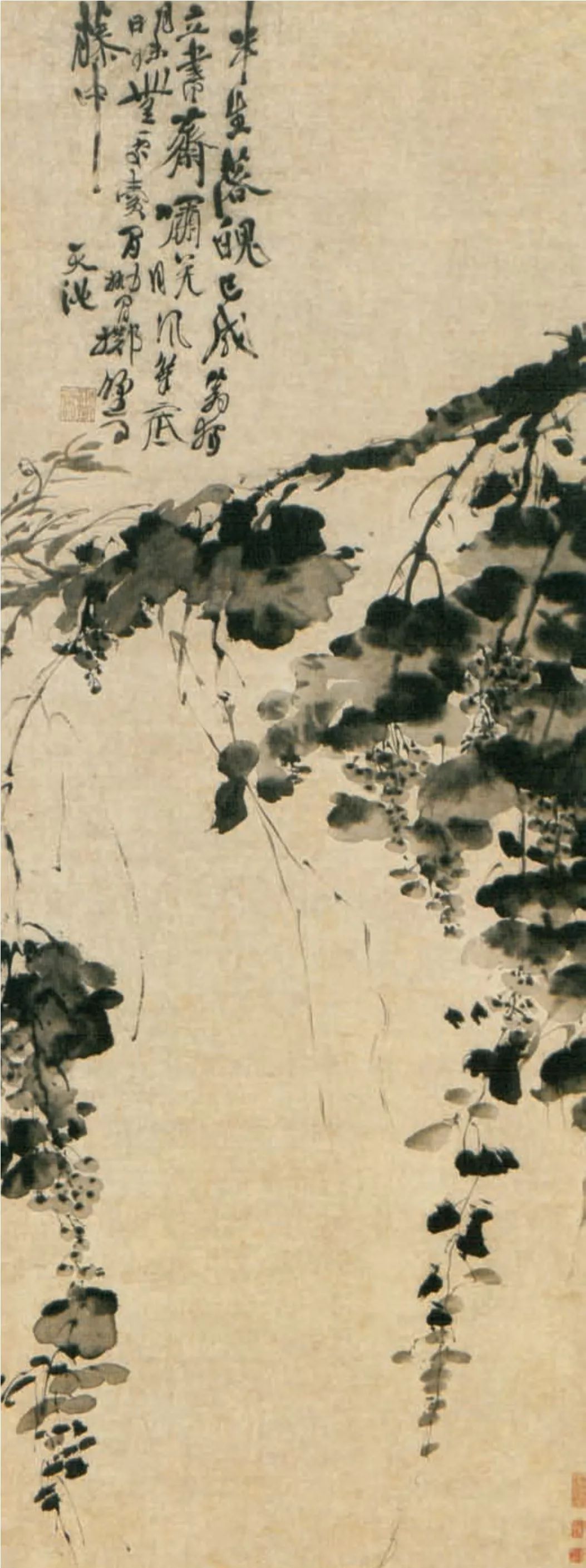 中国画|君莫猜,墨色淋漓雨拨开 ——徐渭的艺术人生