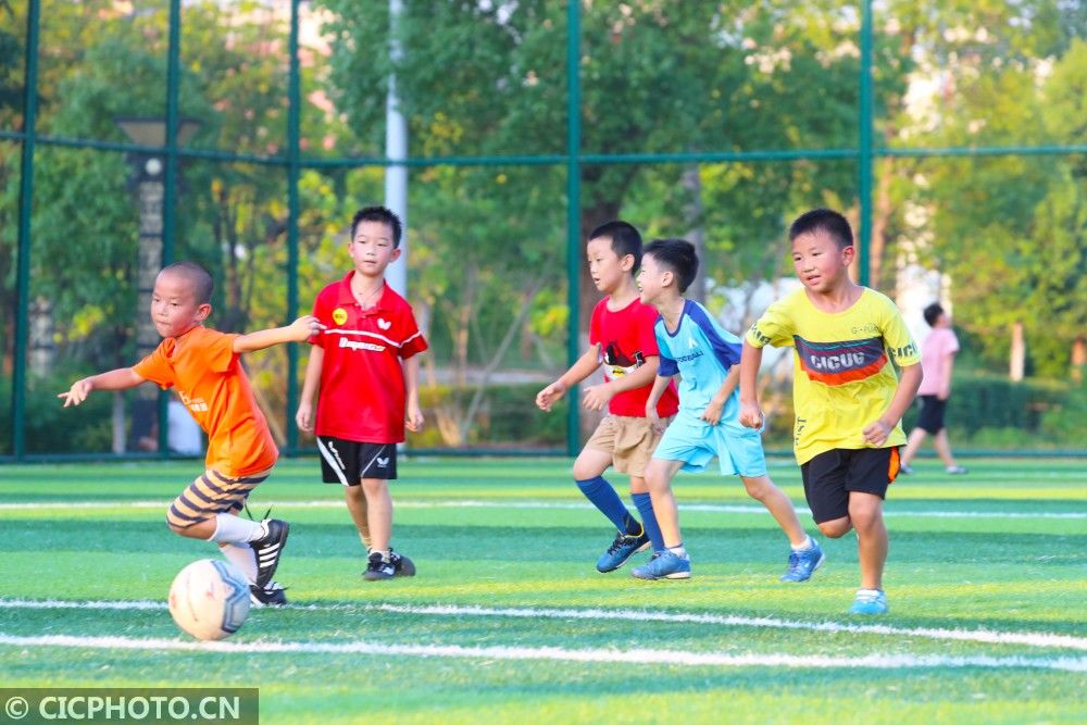 苍龙街道|快乐暑假学技能 乐享假期好时光