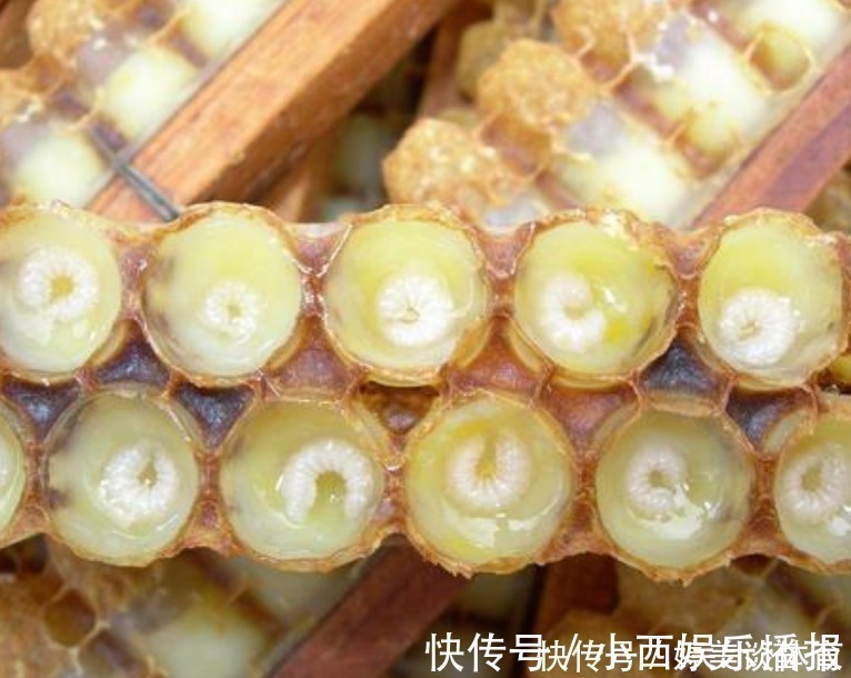 雌激素|女人再节俭,也要多吃5种“黄体酮”食物,补充雌激素,比护肤品更奏效