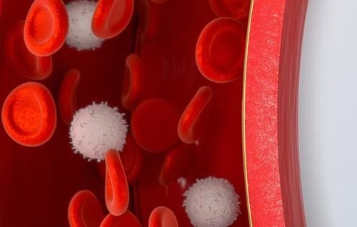 免疫力|尿蛋白如何降得更彻底？谨记4大要点，是护肾防复发的根本