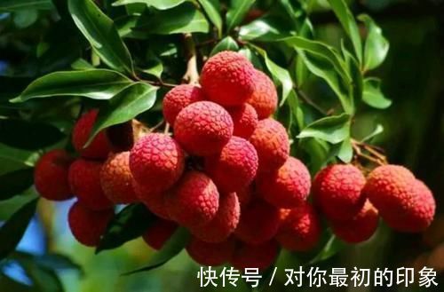 保险箱|冰箱不是保险箱!那些不适合放冰箱的食物,你都知道吗?别搞错了