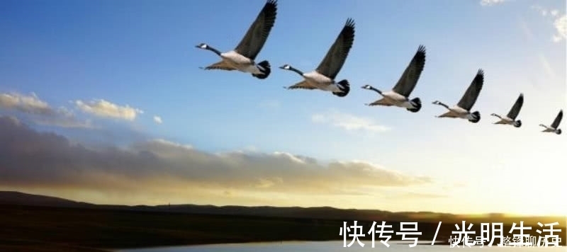 孤独$杜甫晚年一首表达孤独的诗,短短的几句,却把孤独描写得深入骨髓