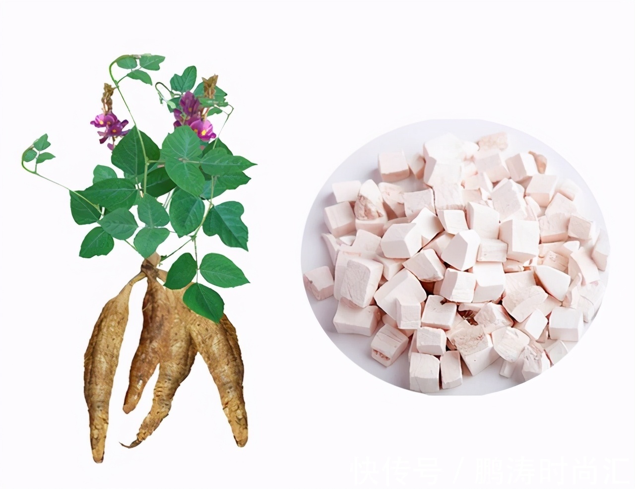 牛蒡子|高血糖牢记这些药材,泡水喝,控糖降脂,天然胰岛素