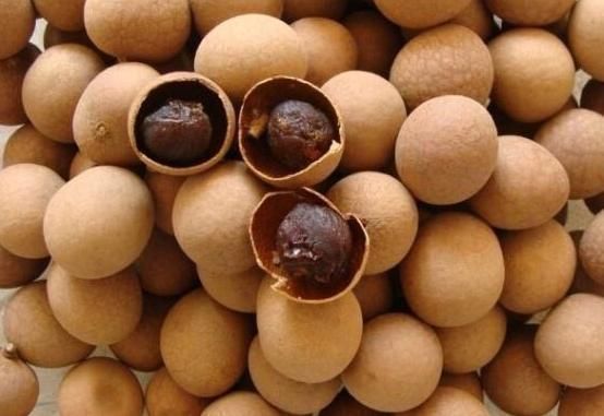 肾脏|天然“雄激素”被发现了,男人早晚要换着吃,补充雄激素,肾脏或会更健康