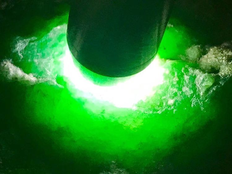 原石|赌石行家的绝密技巧一如何判断翡翠原石的真假