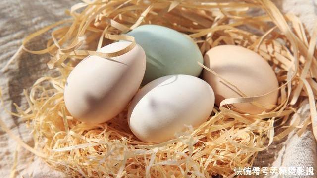 白皮鸡蛋|鹅蛋、鸡蛋、鸭蛋，哪种营养价值最高，对身体健康更有好处