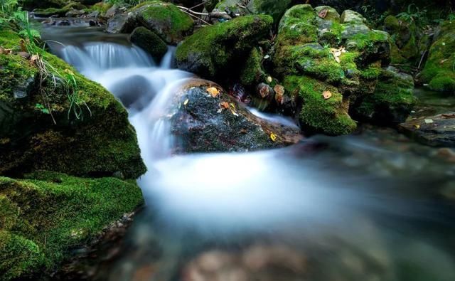 究竟|小暑,“上蒸下煮”,最热天气正在赶来“三暑”“三伏”究竟有啥联系