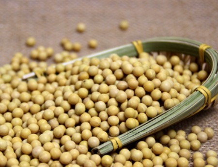 煮豆子，直接下锅是大错！教你正确方法，不管啥豆子，8分钟煮烂