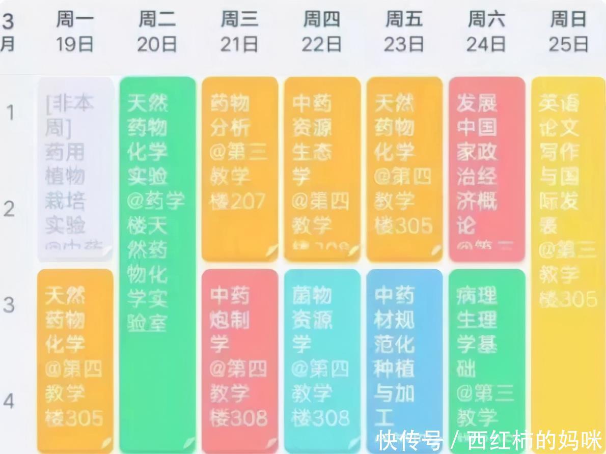 大学是轻松还是累？大学生晒“课程表”，网友直呼想回高三歇一歇