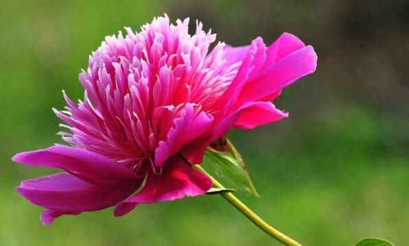 时辰|出生时辰暴露了你的财运,谁是天生财神命,12个时辰12种不同命