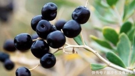 睡眠质量不好,晚上当零食吃几颗,睡眠好了,皮肤细腻光滑