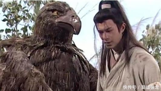 剑魔独孤求败曾用紫微软剑误伤了一位义士,这位义士可能是谁?
