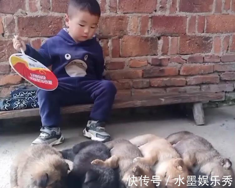 调皮|4岁萌娃哄狗宝宝睡觉,一口气哄睡5只,家长:轻松,家里安静多了