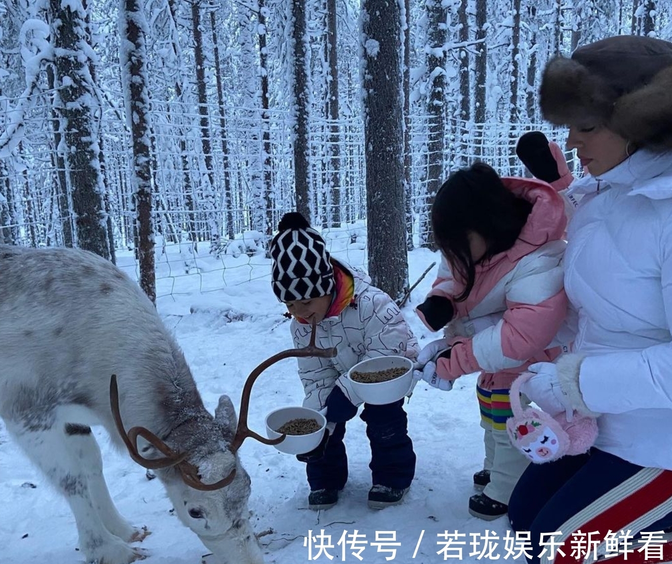 c罗|C罗妻子真会玩!带4娃+2胎北极烤火,住高档木屋,野生动物到处跑