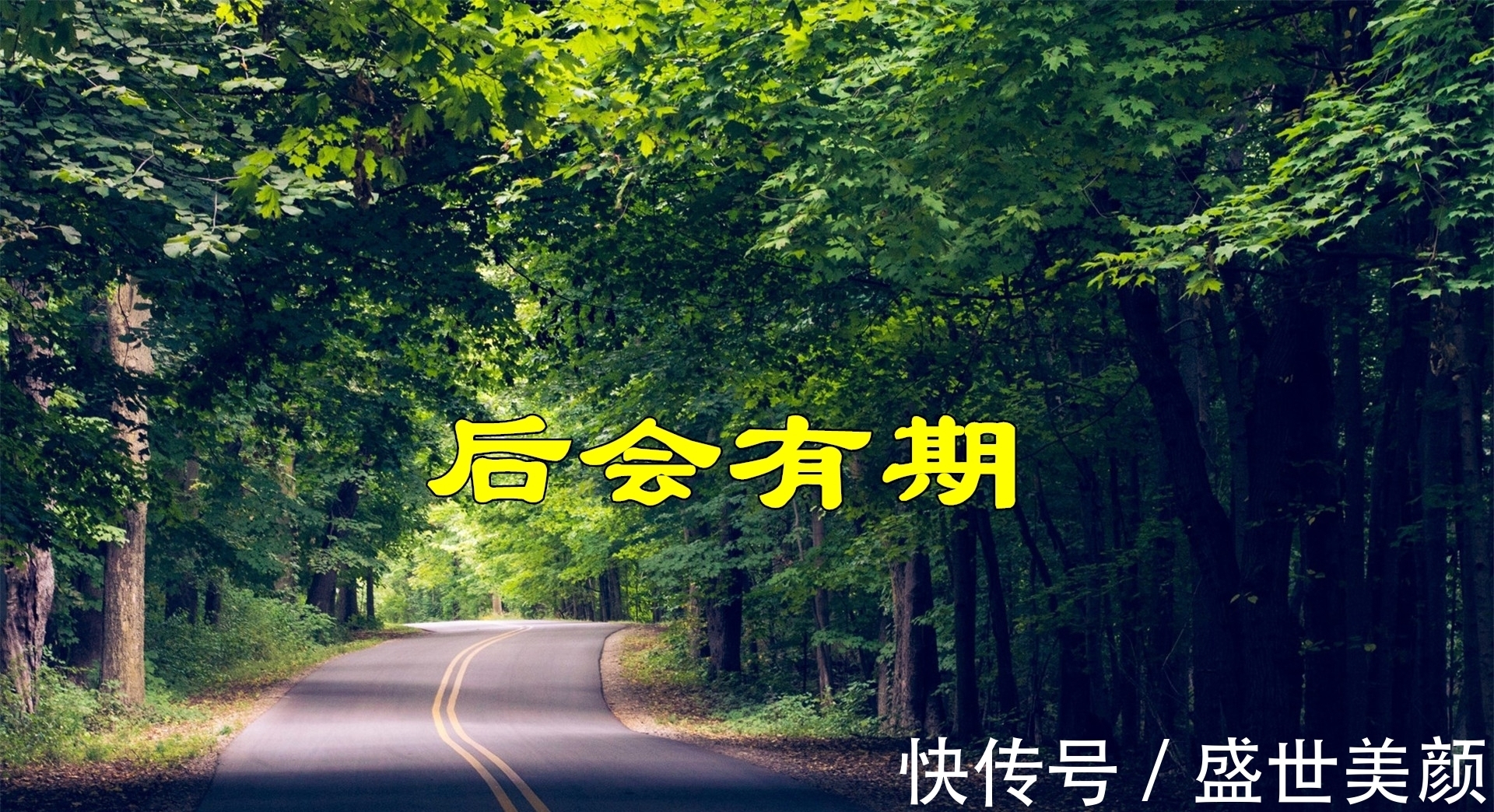 芦老师！《道德经》这一章，竟是贯穿全部81章的主线？我以前怎么没想到