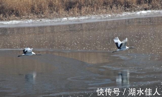 鄱阳湖|中国四大淡水湖现状：鄱阳湖面临消失，基本都呈现水污染