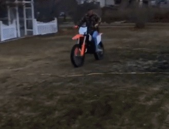 |搞笑GIF：人生难免磕磕碰碰，尤其是过河的时候