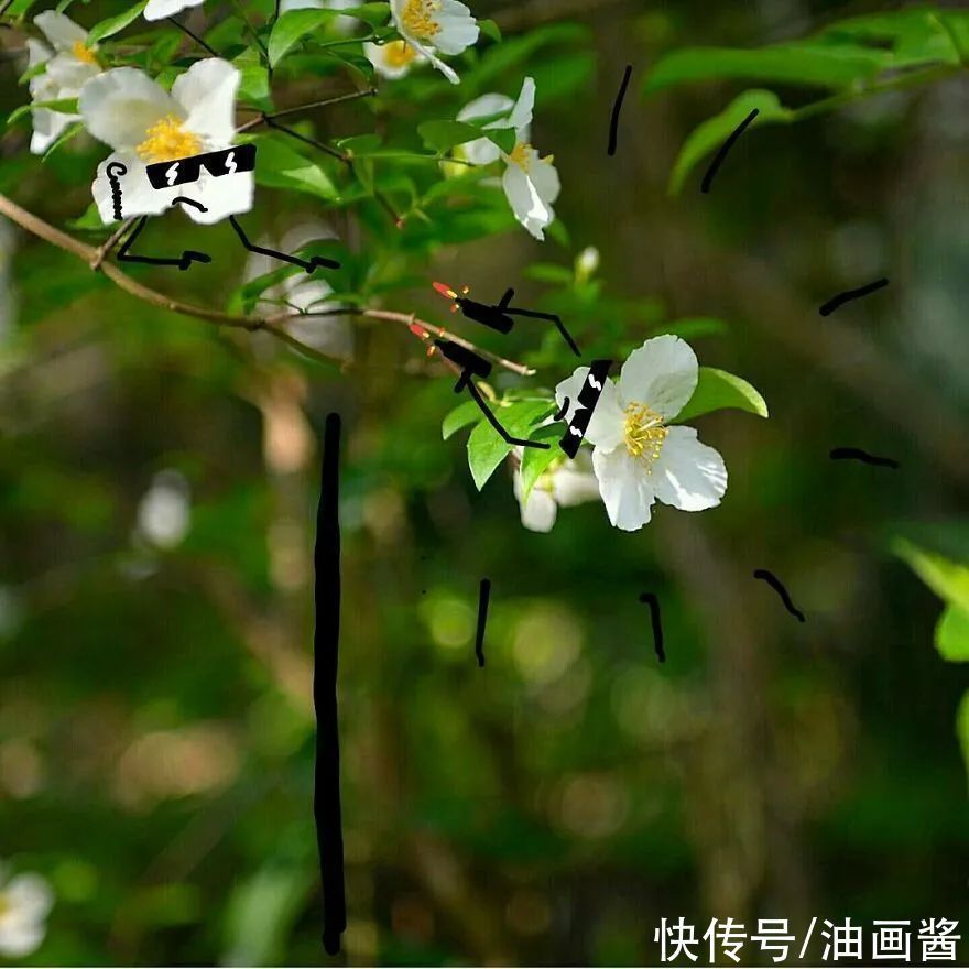 伊尔凡·伊尔马兹$他的手有“魔法”,在照片上随便涂鸦几笔,整个场景就生动起来