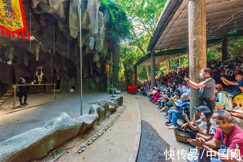 南湾猴岛|冬日，与海南猴岛公园来场约会