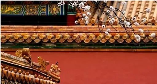 历史总是以一种令人印象深刻的面貌被我们记住