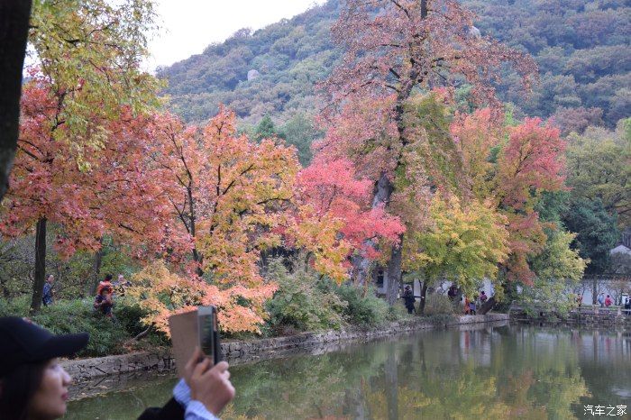 天平山|【喜迎国庆】停车坐爱枫林晚，霜叶红于二月花。游天平山赏枫叶