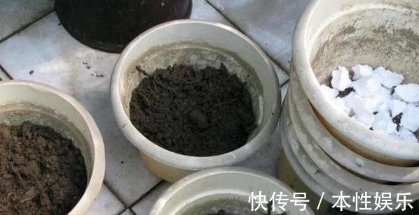 塑料袋|养花土,用一个塑料袋,轻松杀虫灭菌,花盆里一个虫子都没有