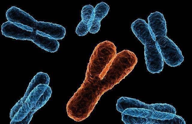 好奇心|为什么有些女人不能生男孩满足你的好奇心,不要害羞,答案很简单