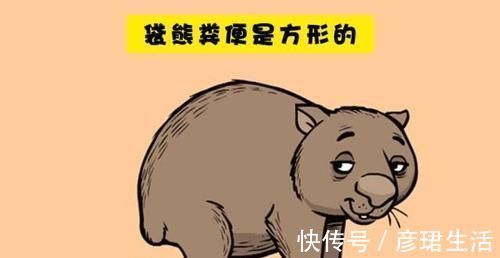 骑自行车|世界冷知识,很多人可能并没有听说过,最后一个让人感到愤懑
