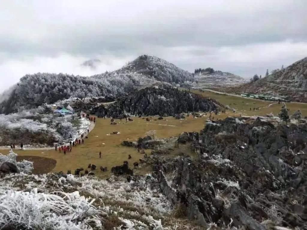 1小时飙拢！去重庆看雪！云海雪山森林，下山还能泡温泉！