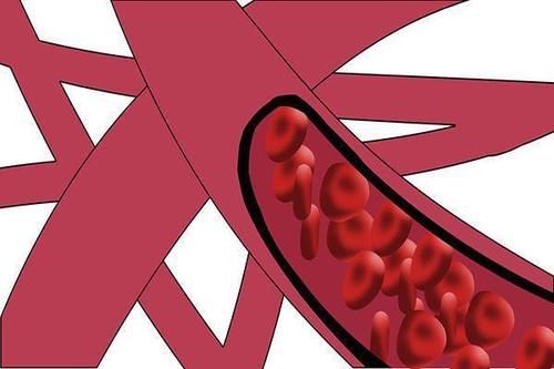 摩尔|甘油三酯没到哪个数，血脂就不算太高？调整回正常值还不算难